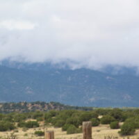 Testing gallery broadcast